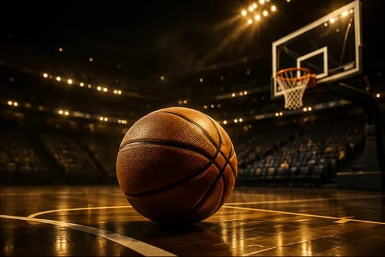 Basketball on a professional court